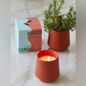 ModernSprout Ceramic ROOTEDCANDLE W/Rosemary Seeds burns & grows fresh herbs NWT